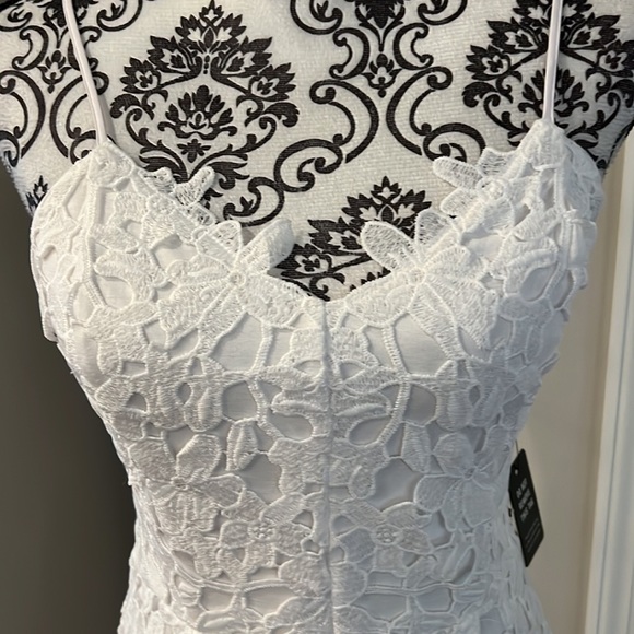 Express Floral Lace MIDI Dress - Picture 3 of 12